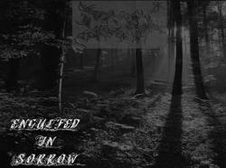 Decius (USA) : Engulfed in Sorrow